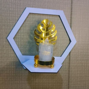 Pack of 05 Hexagon Wall Shelves Set